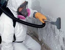 Trusted Yorketown, NJ Mold Removal Experts